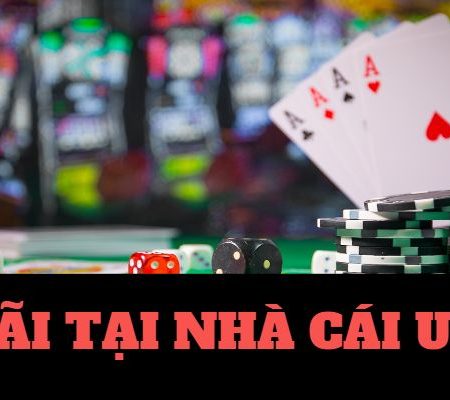 số đài bắc thứ hai Nn88